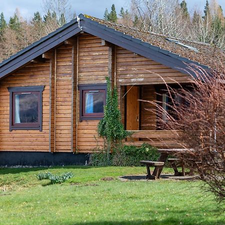קינקרייג Loch Insh Chalets Ltd מראה חיצוני תמונה
